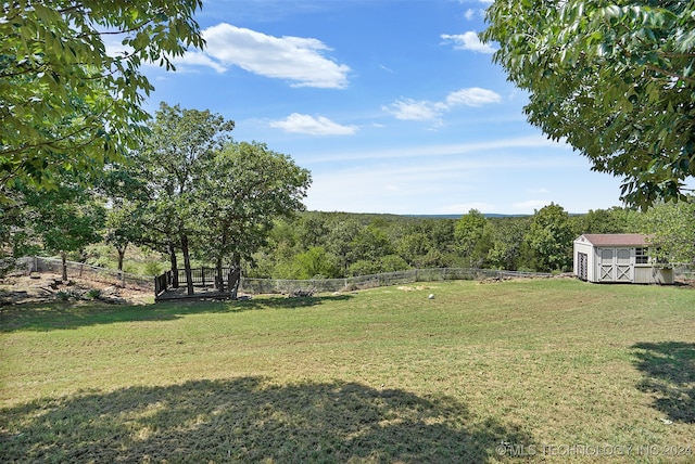 view of yard with a storage shed