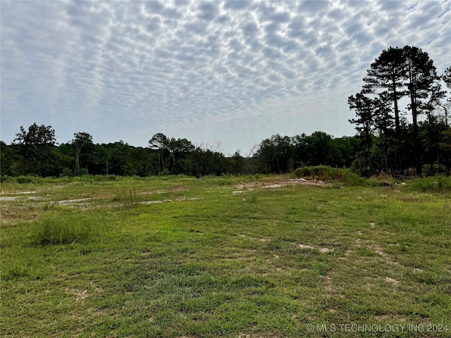 view of local wilderness with a rural view