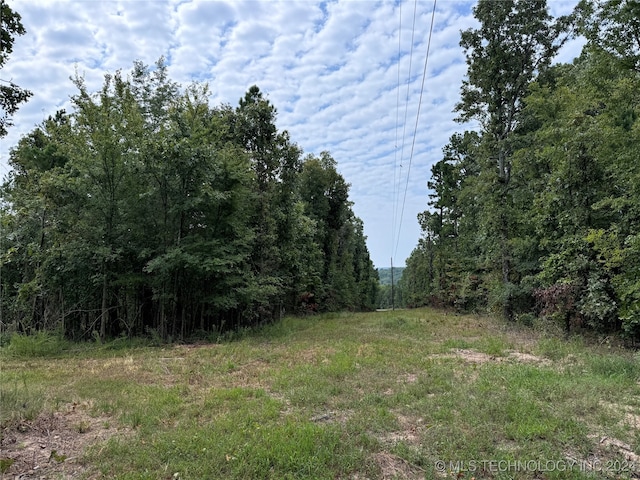 view of local wilderness