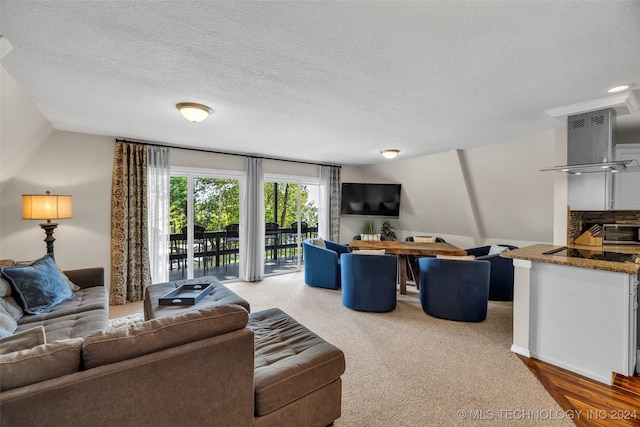 living room with a textured ceiling