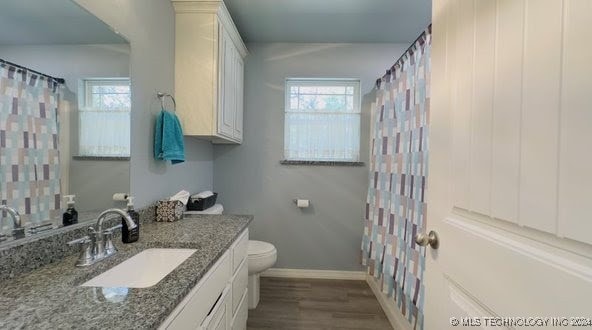 bathroom featuring vanity, wood-type flooring, and toilet