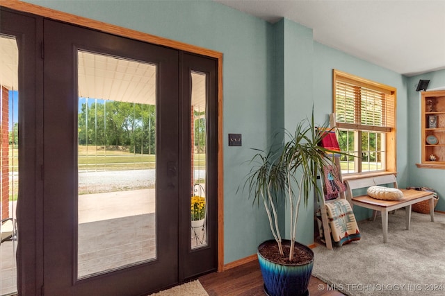 entryway with wood-type flooring