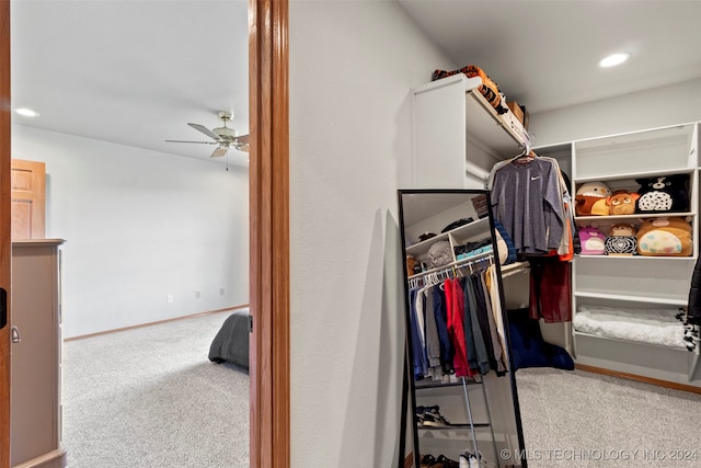 spacious closet with ceiling fan and carpet floors