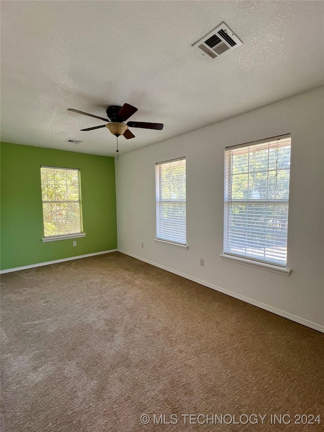 spare room featuring ceiling fan, plenty of natural light, carpet, and a textured ceiling