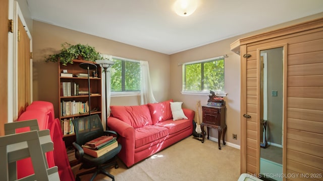 living area with carpet flooring