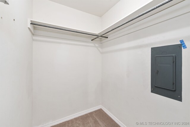 spacious closet featuring electric panel and carpet floors