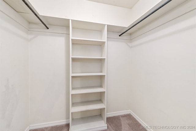 walk in closet featuring carpet