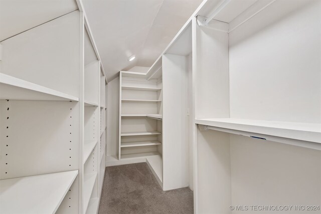 walk in closet featuring carpet flooring