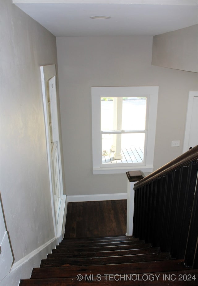 stairway featuring wood-type flooring