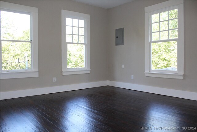 spare room with a wealth of natural light, dark hardwood / wood-style floors, and electric panel