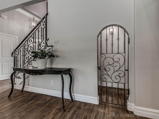 entryway with hardwood / wood-style flooring