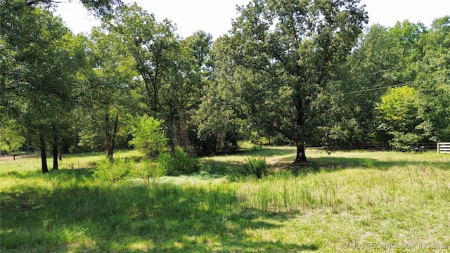 view of local wilderness