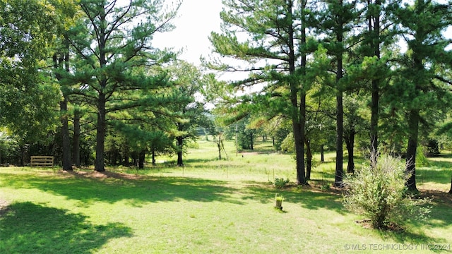 view of local wilderness