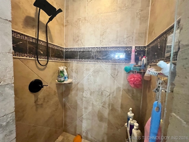 bathroom featuring walk in shower