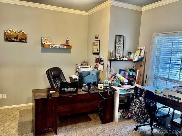 carpeted home office featuring crown molding