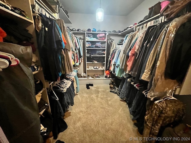 spacious closet featuring carpet