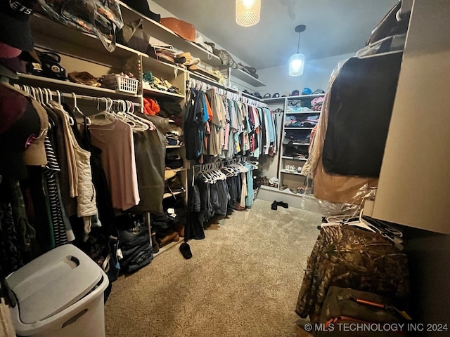 walk in closet with carpet