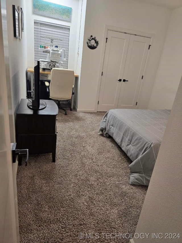 bedroom featuring a closet and carpet floors