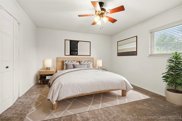 bedroom with crown molding, carpet flooring, ceiling fan, and a closet