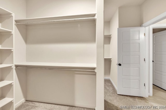 walk in closet with light carpet