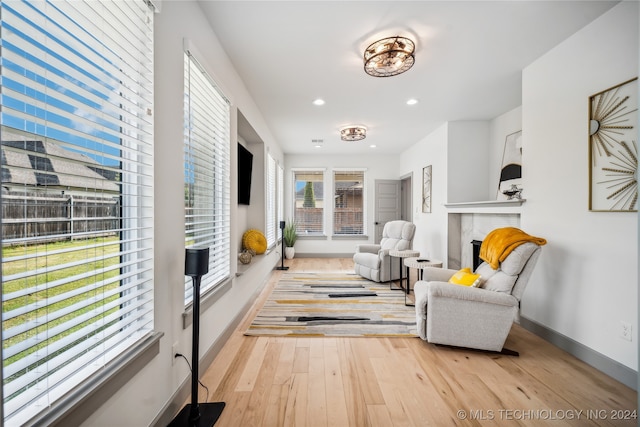 living room featuring light wood-type flooring