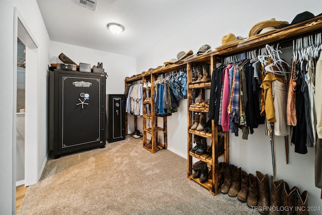 spacious closet with carpet