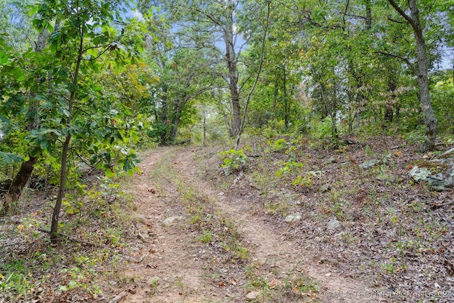 view of landscape