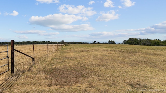 view of yard with a rural view