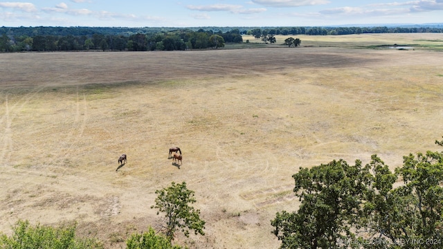 bird's eye view with a rural view