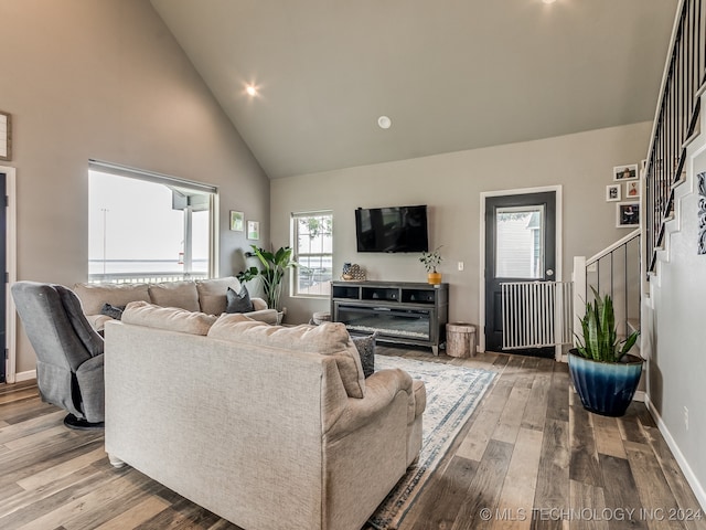 living room with high vaulted ceiling, wood-type flooring, and plenty of natural light