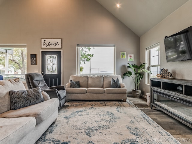 living room featuring high vaulted ceiling, dark hardwood / wood-style floors, and a healthy amount of sunlight