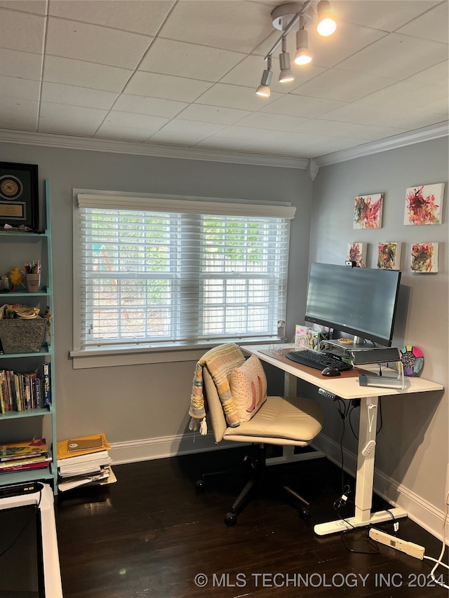 office area featuring ornamental molding and wood-type flooring