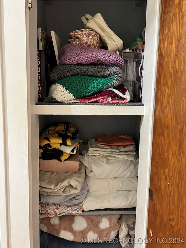 view of closet