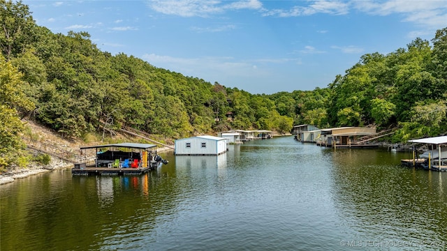 dock area with a water view