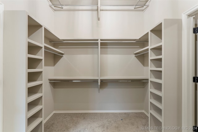 walk in closet with carpet flooring