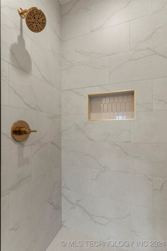 interior details with tiled shower