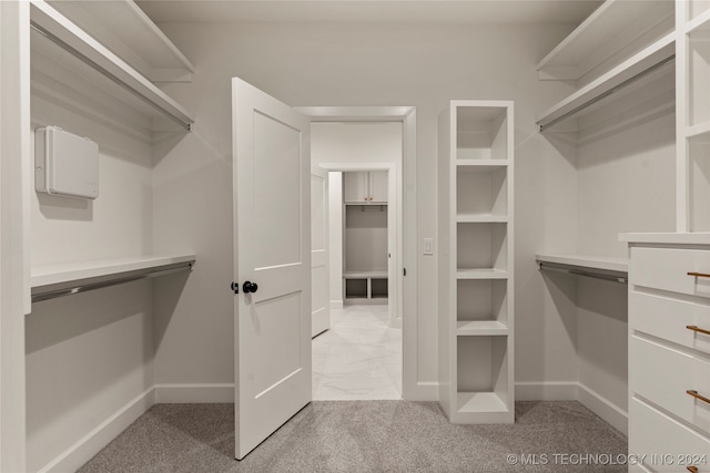 spacious closet with light colored carpet