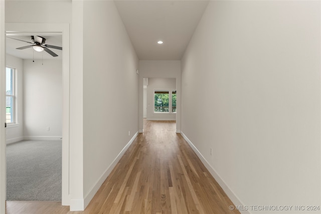 hallway featuring plenty of natural light and light hardwood / wood-style floors