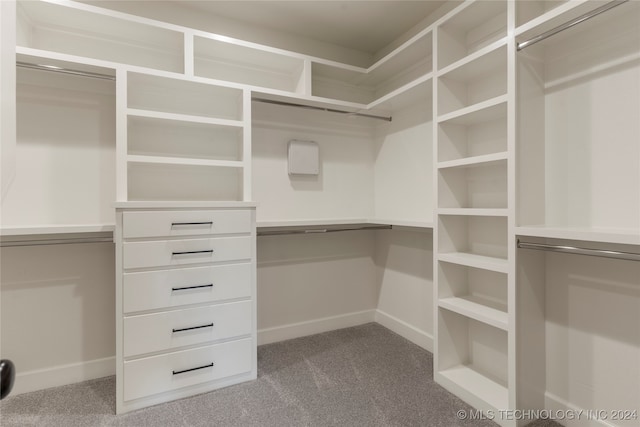 walk in closet with carpet floors