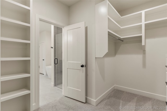 walk in closet with light colored carpet