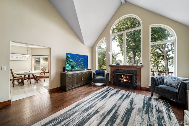 interior space featuring a premium fireplace, hardwood / wood-style flooring, and high vaulted ceiling