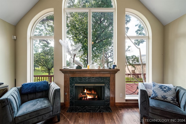 living area featuring lofted ceiling, a healthy amount of sunlight, and a fireplace