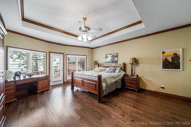 bedroom with a tray ceiling and multiple windows