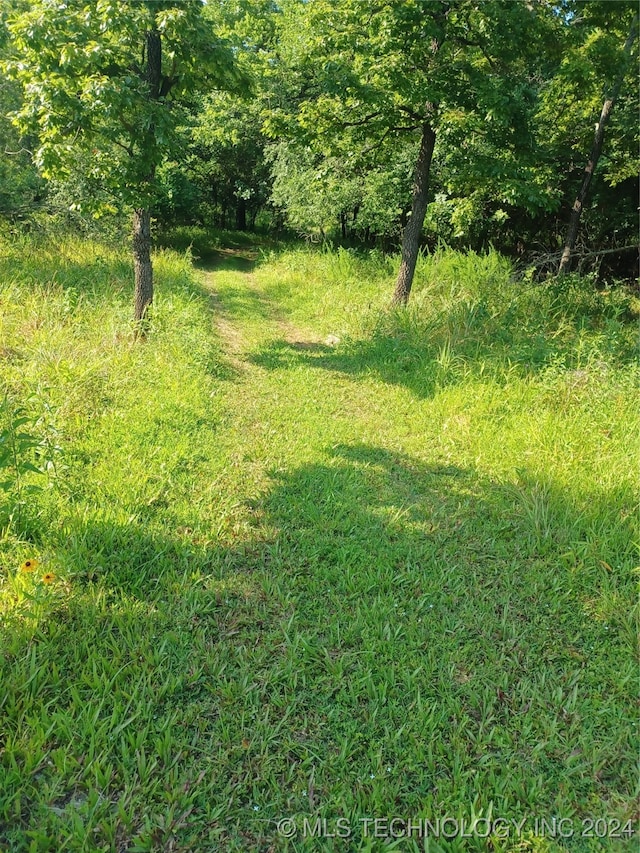 view of local wilderness