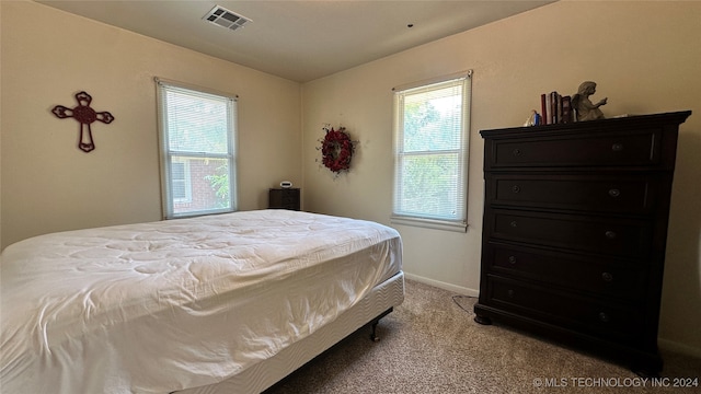 bedroom featuring carpet