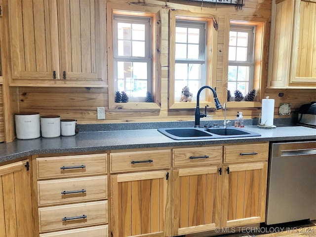 kitchen with stainless steel dishwasher and sink