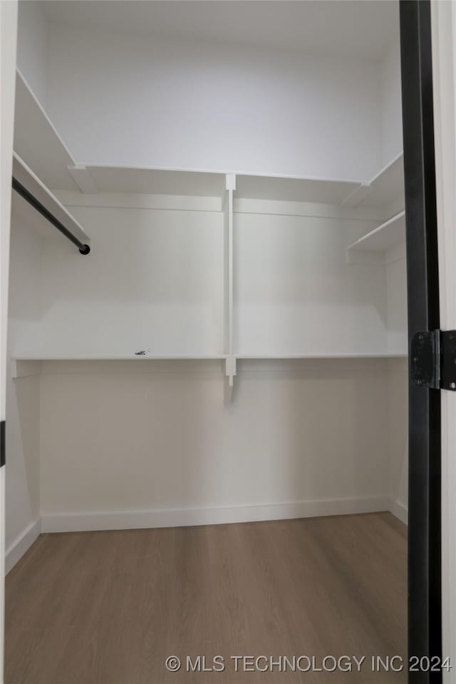 spacious closet featuring wood-type flooring