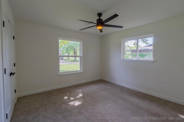 interior space featuring carpet, ceiling fan, and a closet