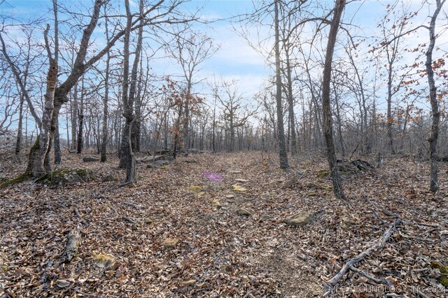 Bixby Rd, Mounds, OK 74047 - photo 11