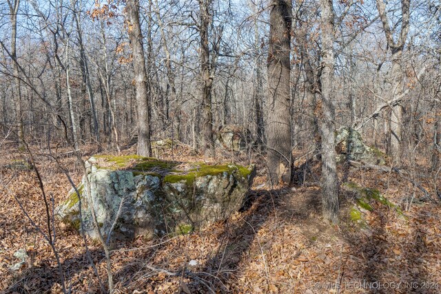 Bixby Rd, Mounds, OK 74047 - photo 13